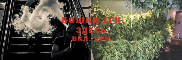 мдпв Лагань